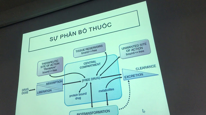 So sánh sinh khả dụng của các dạng thuốc