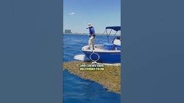 Over 30 Millions of Plastic and Trash Removed From Our Oceans 🤟🌏 #sustainability #ocean