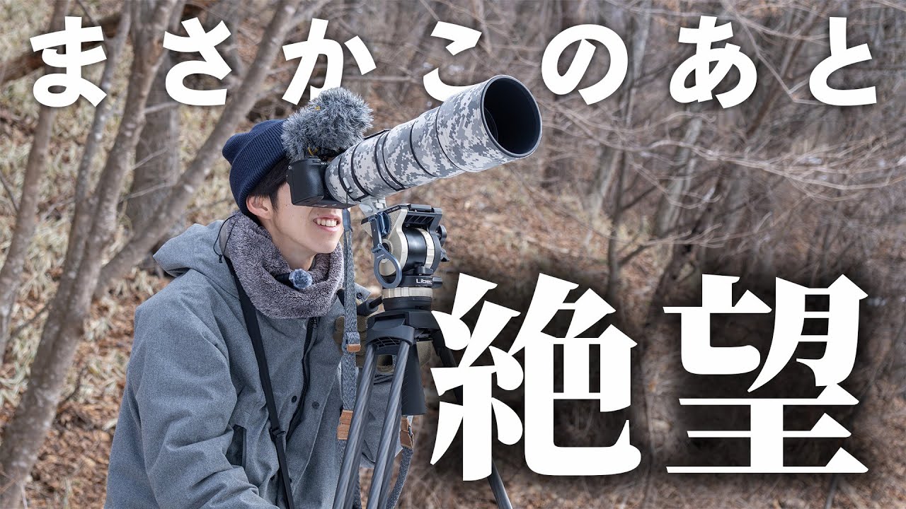 y*u様 レイミア　モッキンバード y*u様 レイミア モッキンバード Mockingbird 7/5/-1/2 – Lone