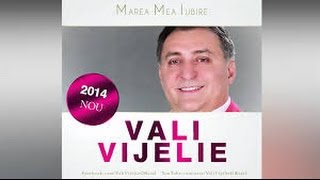 Vali Vijelie - Vagaboanda Mai E Viata