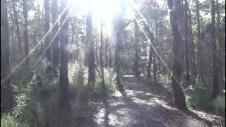 A Sudden and Utter Silence