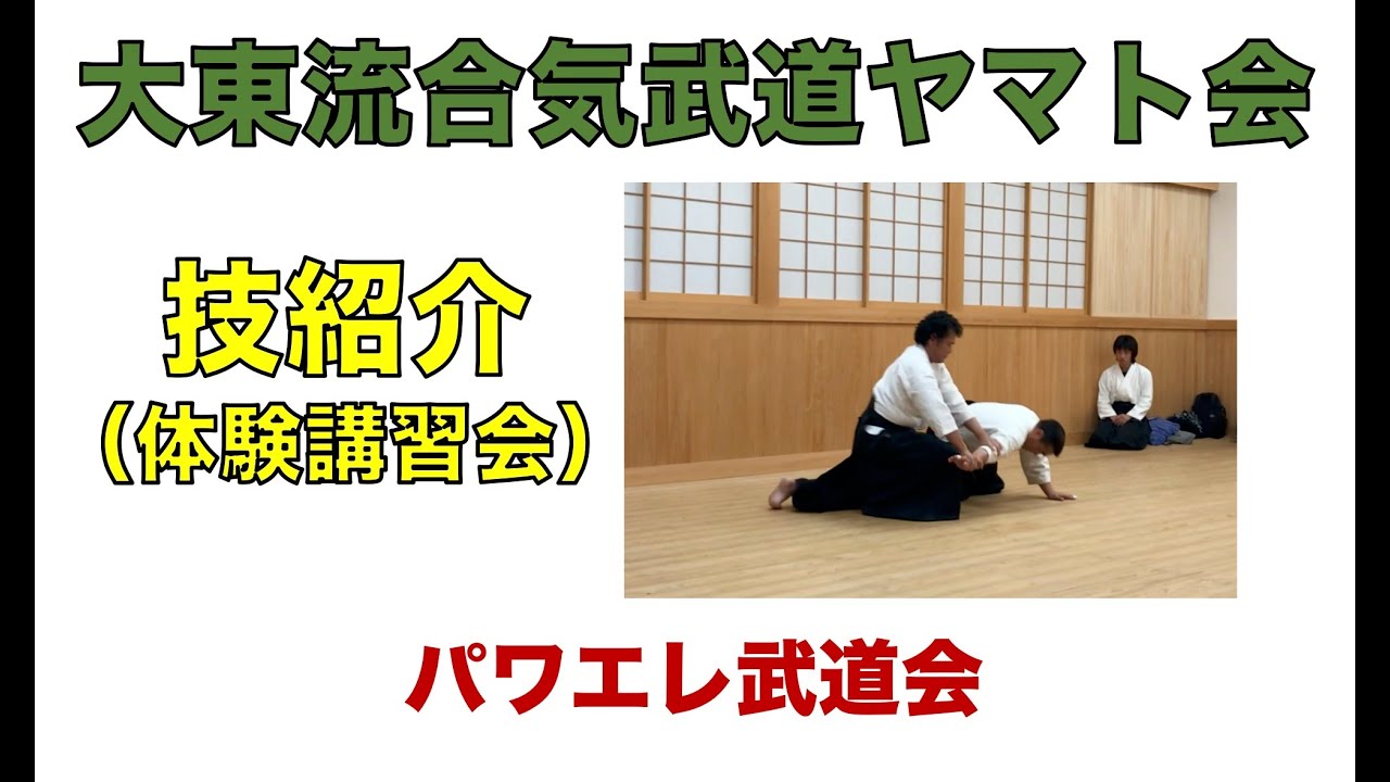 名古屋パワエレ武道会 大東流合気武道