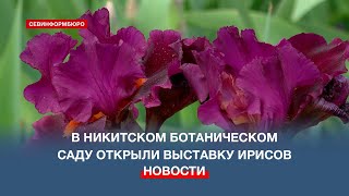 В Никитском ботаническом саду открыли выставку ирисов