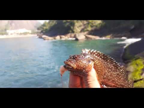 Peixe olho-de-boi é desafio em pescaria pelo Oceano Pacífico na Colômbia, Terra da Gente