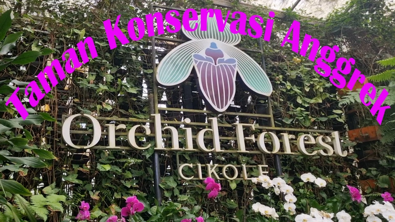 Taman Konservasi Anggrek Cikole atau Orchid Forest