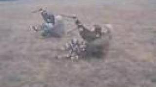 Buster Ii 4M2 Wind 30-45 Knt. P-Ń Kobylnica...