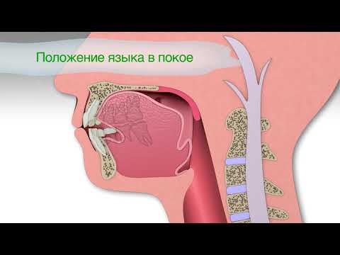 Истинные причины кривых
