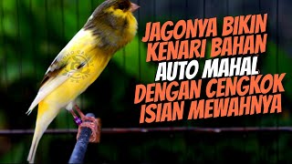 JAGONYA BIKIN KENARI BAHAN MAHAL DENGAN CENGKOK ISIAN MEWAH - MASTERAN KENARI ISIAN CIBLEK PRENJAK