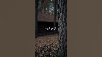 اكتب شيء تؤجر عليه | سورة الواقعة الآية 90-96 القارئ ماهر المعيقلي