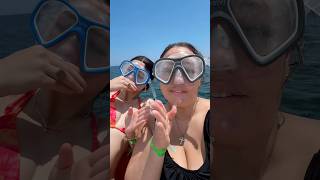 Snorkeling with the dolphins!
