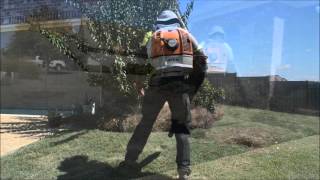 Воздуходувка бензиновая ранцевая Stihl BR 550