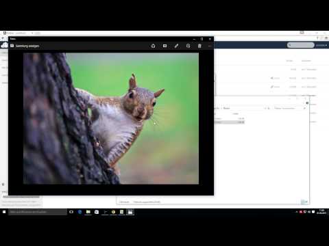 OwnCloud Von Blaucloud.de Bei Windows 10 Als Netzlaufwerk Einbinden