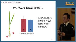 田野井慶太朗「イネ植物体内におけるセシウムイオンの動態と分子機構の考察」―第13回放射能の農畜水産物等への影響についての研究報告会