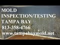 Greater Carrollwood FL Mold Inspection & Testing 813-358-4766 TampaBayMold.net