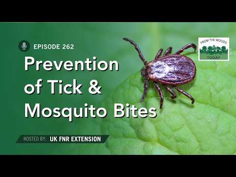 Prevention of Tick and Mosquito Bites - From The Woods Today - Ep. 262
