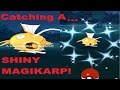 catching a real shiny magikarp pokemon go shiny catch
