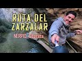 RUTA ZARZALAR NERPIO Spain