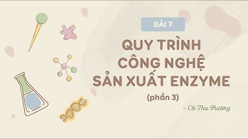 Bài 7. Quy trình công nghệ sản xuất enzyme (P3) - Sinh 10 - Chân trời sáng tạo - Chuyên đề - OLM.VN