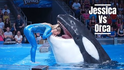 JESSICA vs ORCA: What REALLY Happened Will Shock You!