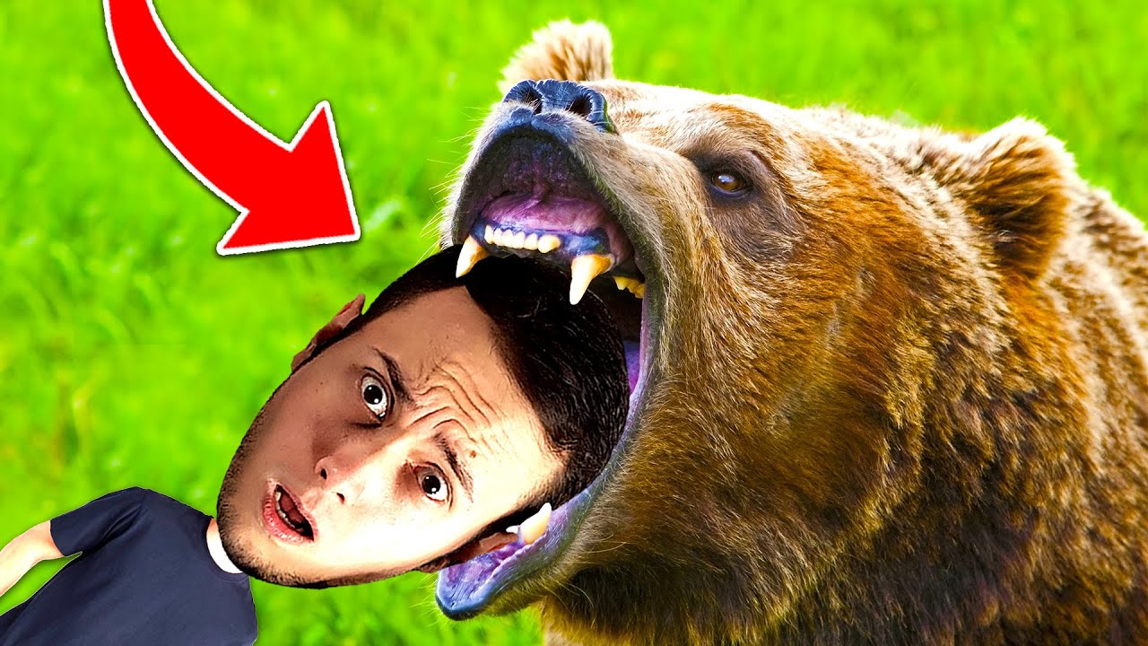 IN Padure cu URSUL! Ce facem?