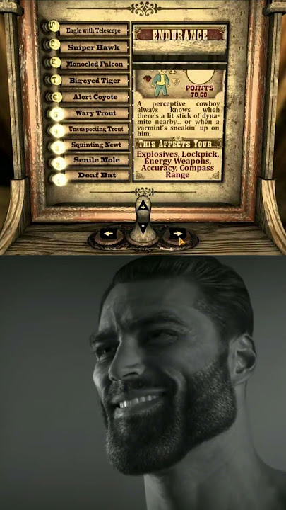 SPECIAL stats in Fallout New Vegas ranked #shorts