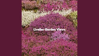 Relaxed Music for Limitless Boosts