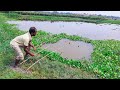 Fishing Video || The boy is fishing in the field using different types of delicious food | Fish trap