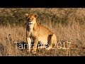 Tanzania 2017 - Tarangire, Lake Manyara, Ngorongoro, Serengeti