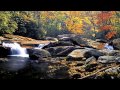Fall in the Great Smoky Mountains (HD1080p)