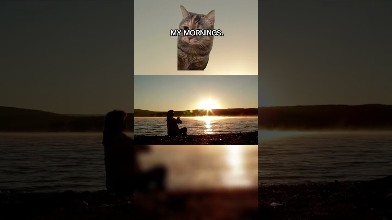 Faith-Based 2026 Calendar | She Grew Bookstore on Etsy