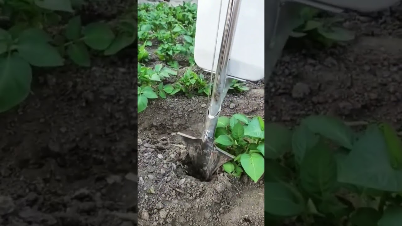 The wisdom of the working people 