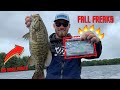 Neko Flick EXPLAINED - How to Catch GIANT Fall Smallies