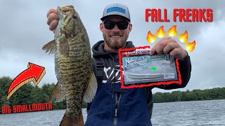 Neko Flick EXPLAINED - How to Catch GIANT Fall Smallies