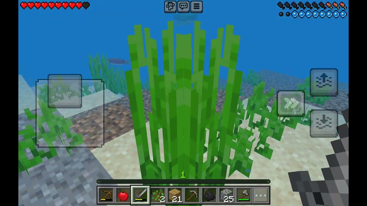 Playing on the boiled one seed for the first time with sister