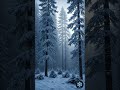 "Aurora Over the Winter Forest 🎹❄️🌌 Relaxing Piano &amp; Snowfall Ambience"