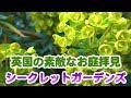 イギリスの素敵なお庭拝見　シークレットガーデン Secret Gardens in Winchelsea, East Sussex　【英国ぶら歩き】