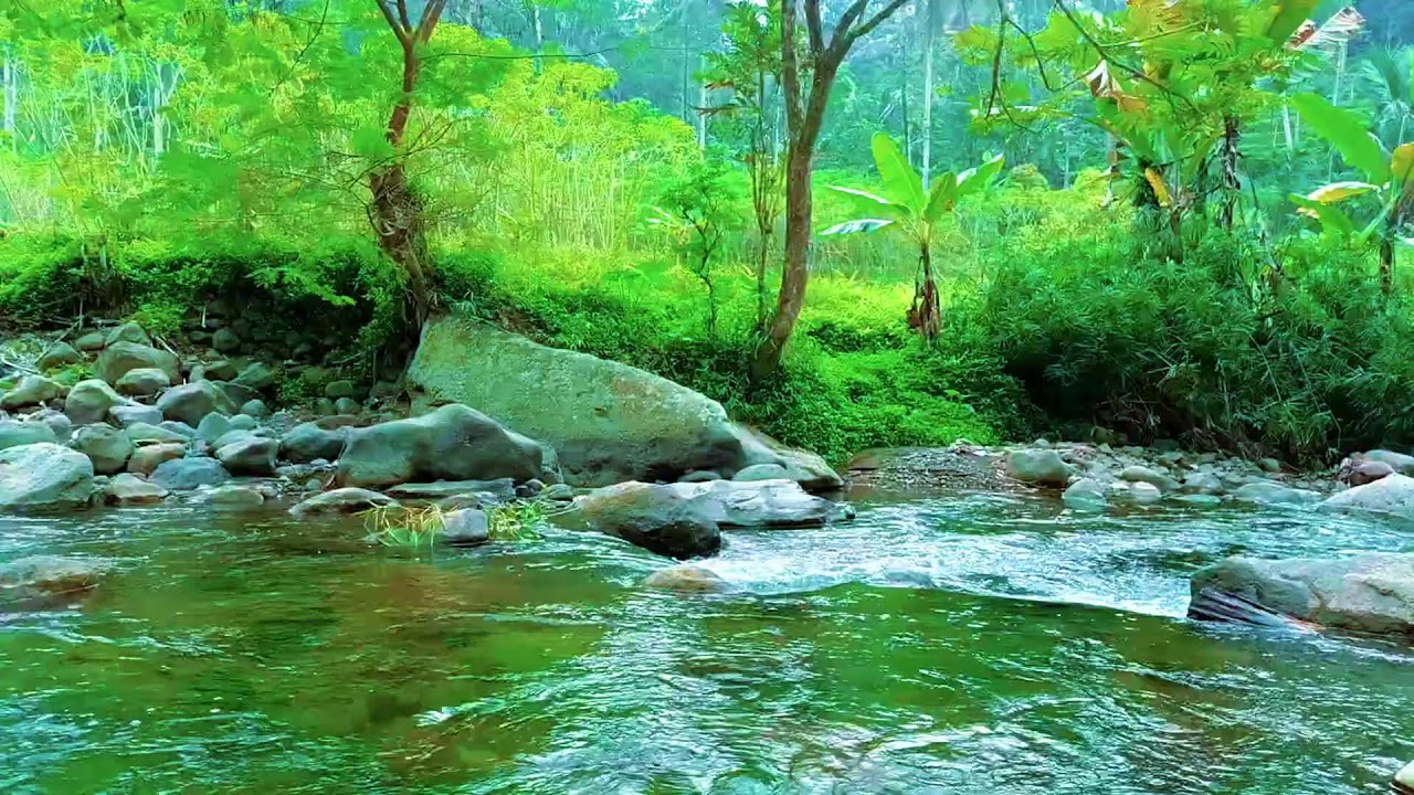 Flowing River Sounds for Deep Sleep and Stress Relief | 8 Hours Nature Ambience