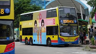 CTB 城巴 73S To Ocean Park 往海洋公園 (Regular)