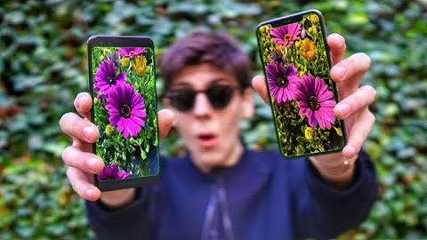 iPhone XS vs Pixel 3 Camera Comparison (2019)