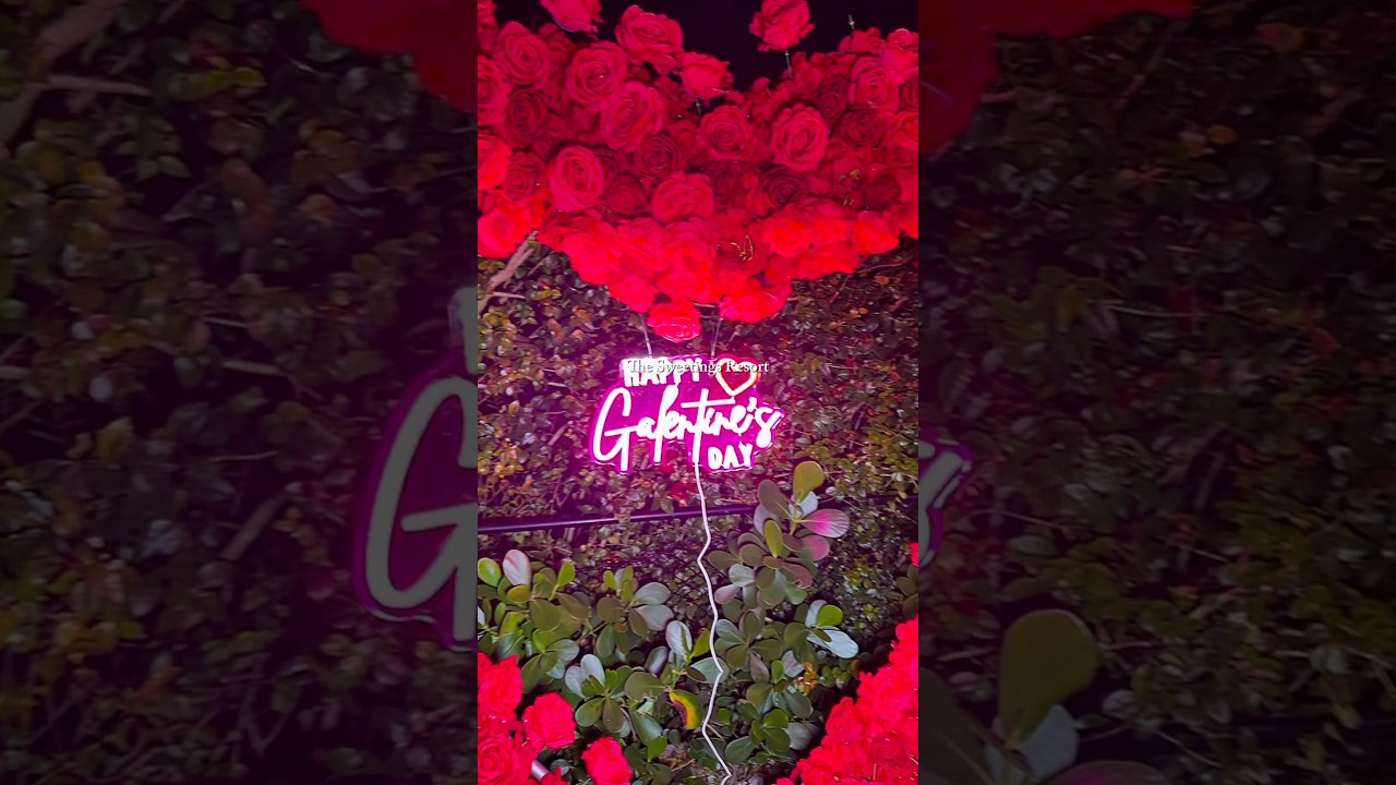 Мое первое мероприятие в честь Дня подруг, и я получила огромное удовольствие! 