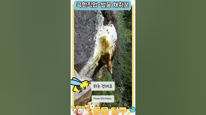 극한직업- 벌꿀채취꾼