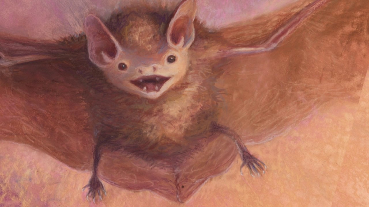 The Secret Life of the Little Brown Bat - YouTube