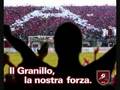 Reggina al