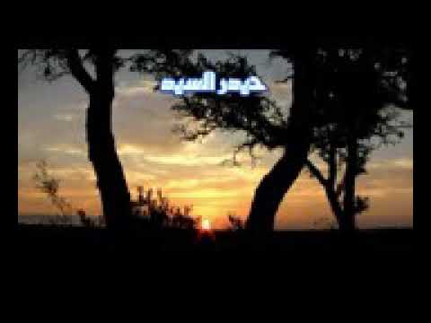 صل الله عليك يا نور الهدى قصة الأعرابي