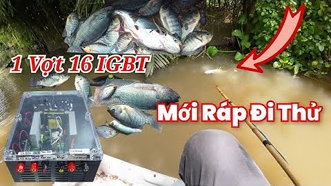 Thử Kích Điện 16fet Đa Hệ Nước 1 Vợt Cá Tổng Hợp, Có Bảo Hành Cho Các Bạn 