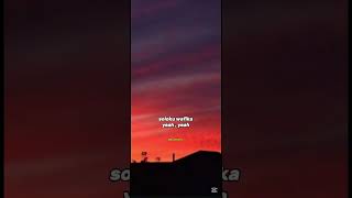 ZEE NXUMALO NEW SONG amapiano