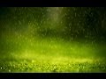 صوت المطر والرعد - اصوات الطبيعة - استرخاء, دراسة, تأمل, نوم - ساعة كاملة - Relaxing Rain &amp; Thunder