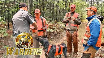 Wardens: Salmon Patrols, Snowmobiles & Turkeys | FD Real