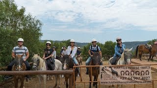 Horse Riding in Johannesburg | South Africa
