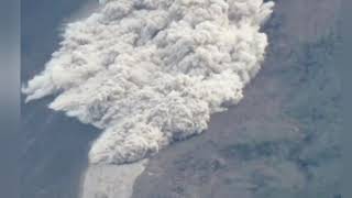 Letusan Gunung Merapi Dan Wedus Gembelkrucaci Bus